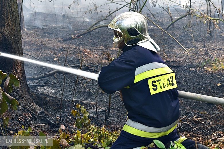 Pożar lasu w Miękini