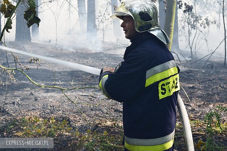 Pożar lasu w Miękini