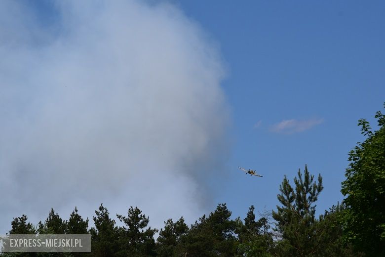 Pożar lasu w Miękini