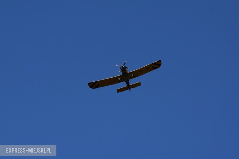 Pożar lasu w Miękini