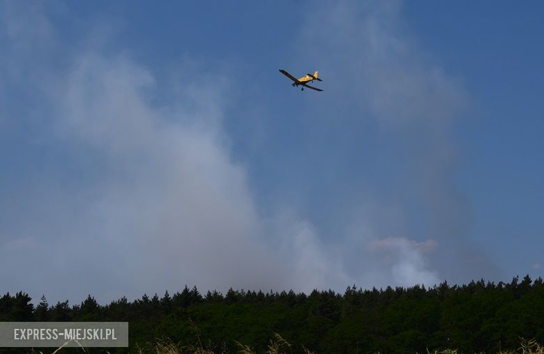Pożar lasu w Miękini