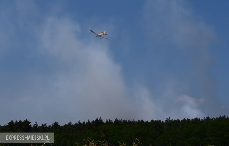 Pożar lasu w Miękini