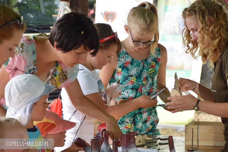 Festyn Rodzinny w Lutyni