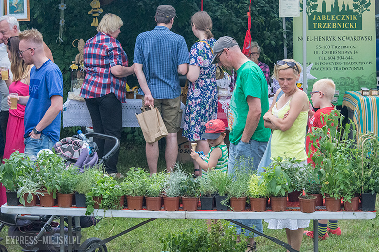 Piąte Święto Sadu w Lutyni wśród owocujących drzew
