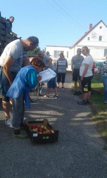 Akcja rozdawania jabłek w Pichorowicach