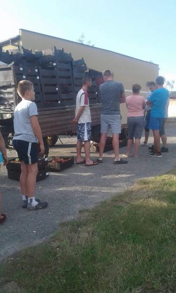 Akcja rozdawania jabłek w Pichorowicach
