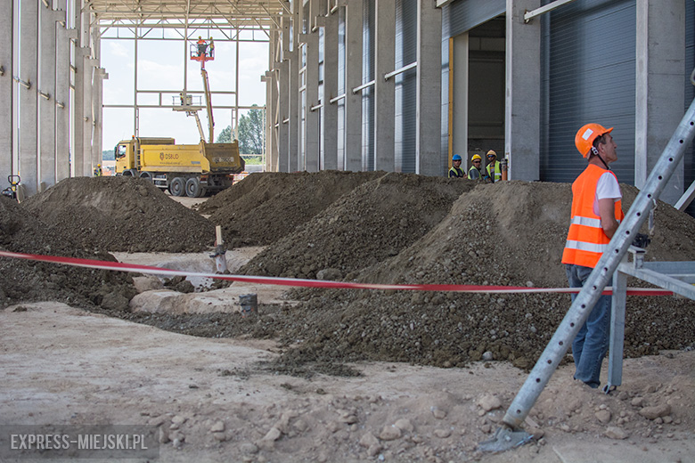 Trwa budowa zakładu Xeos