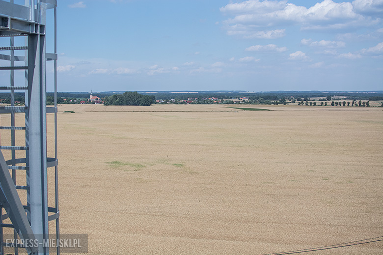 Trwa budowa zakładu Xeos