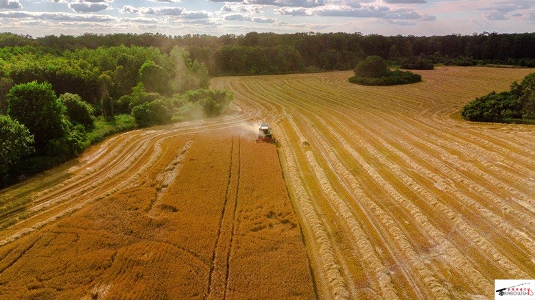 Widok na zbiory z pól z terenu gminy Malczyce