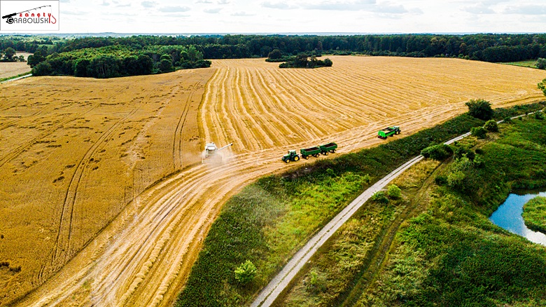 Widok na zbiory z pól z terenu gminy Malczyce