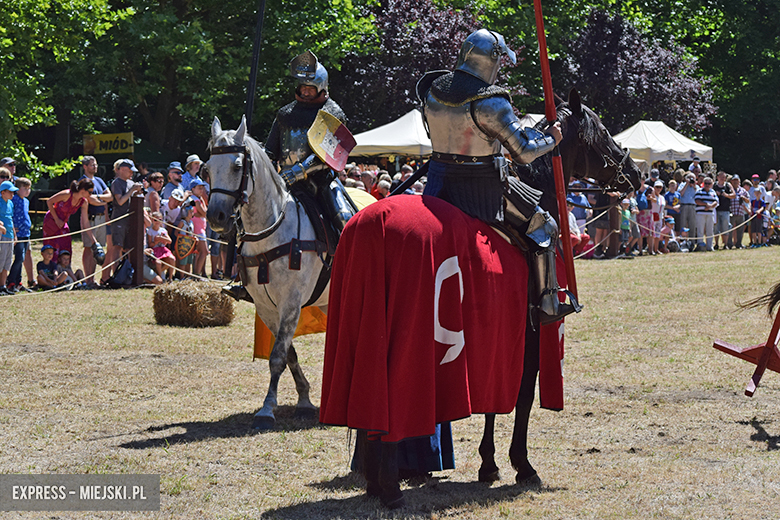 III Turniej Rycerski o Mizerykordię Kasztelana Zamku Wojnowice