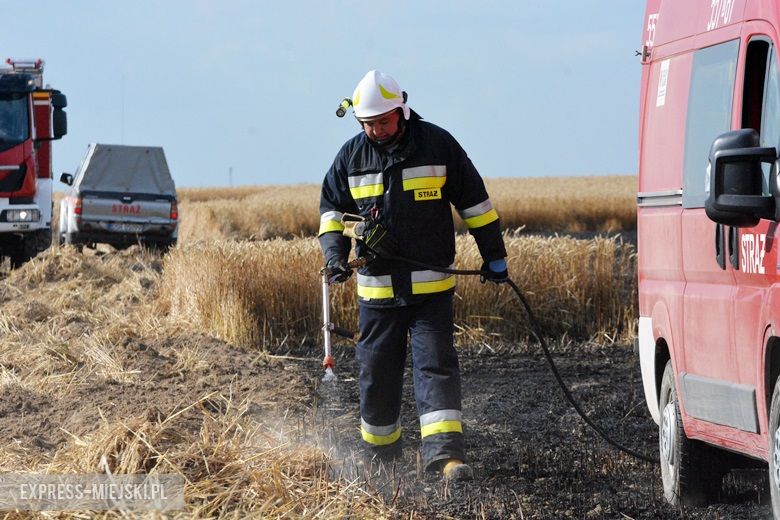 Akcja ratunkowa straży pożarnej