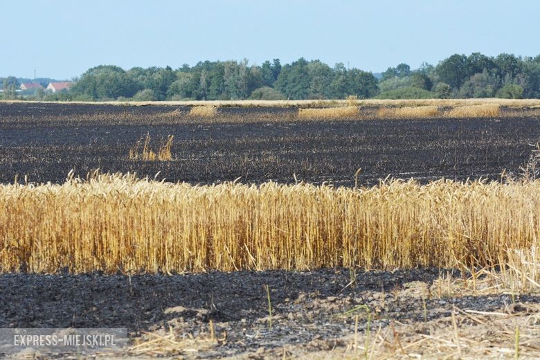 Akcja ratunkowa straży pożarnej