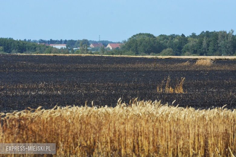 Akcja ratunkowa straży pożarnej