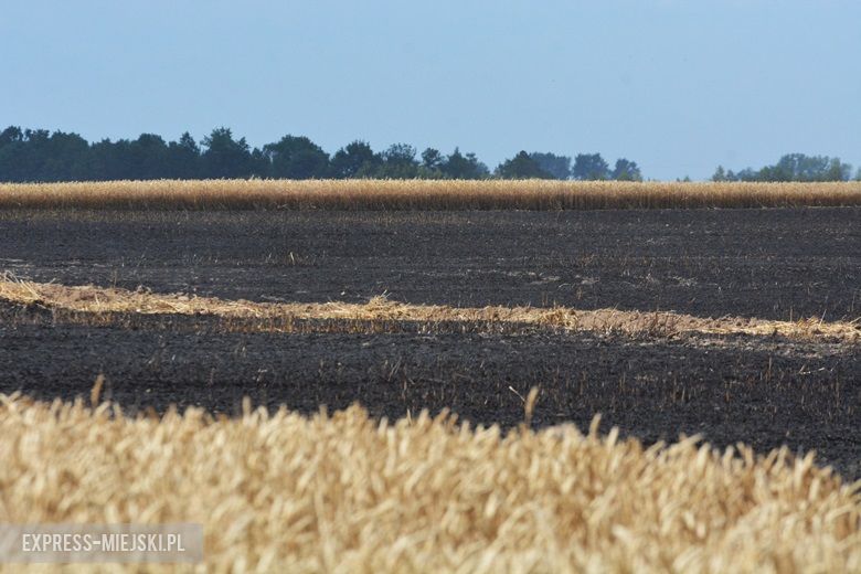 Akcja ratunkowa straży pożarnej