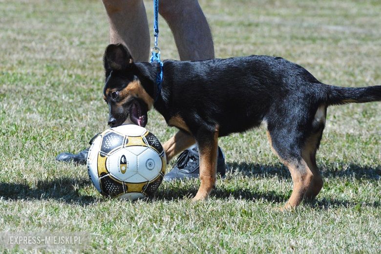 Turniej piłkarski w Pichorowicach
