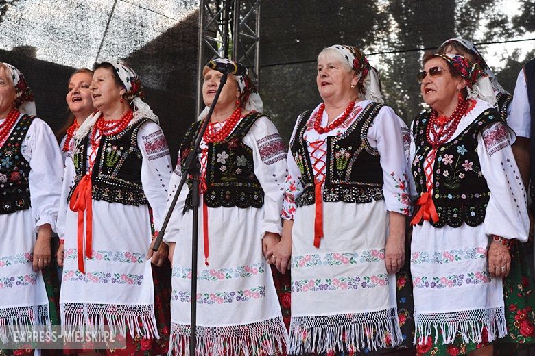 Festiwal Kultury Ludowej w Środzie Śląskiej
