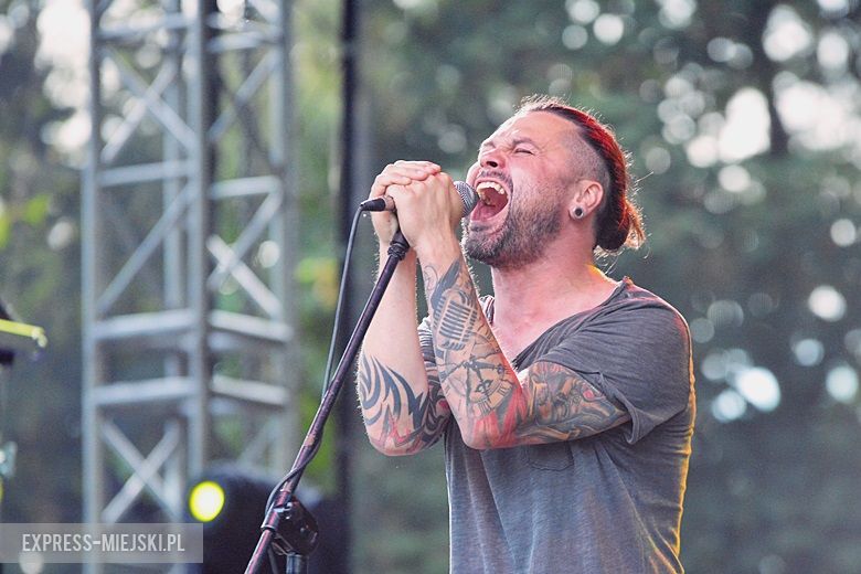 Festiwal Uwolnić Muzykę w Środzie Śląskiej