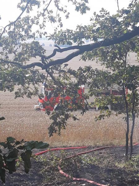 Pożar lasu i pola w Konarach