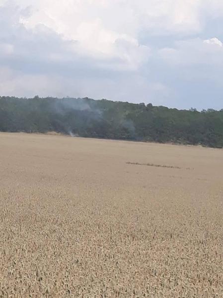 Pożar lasu i pola w Konarach