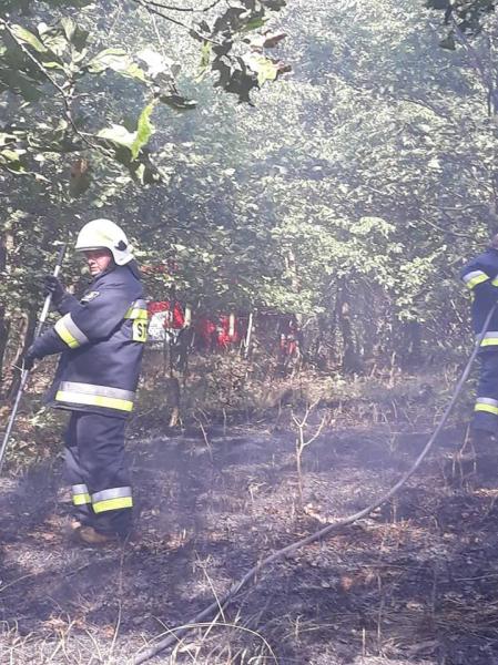 Pożar lasu i pola w Konarach