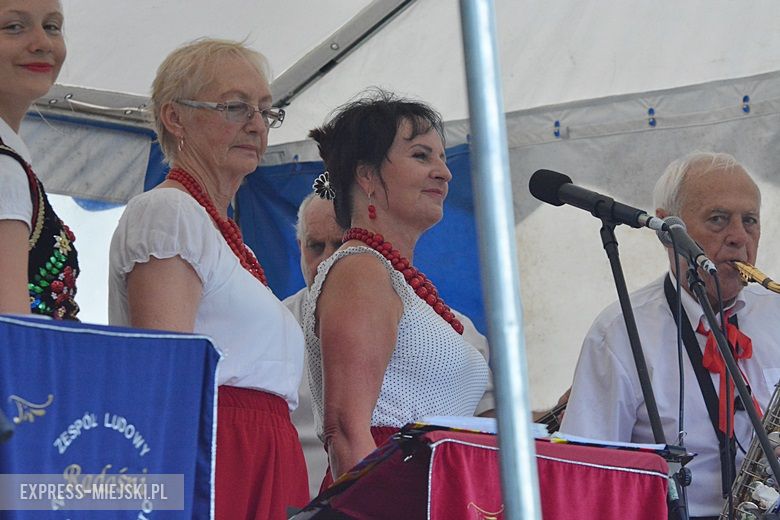 Festyn parafialny w Wilkszynie