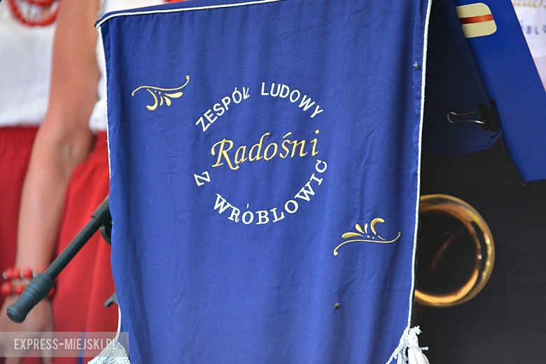 Festyn parafialny w Wilkszynie