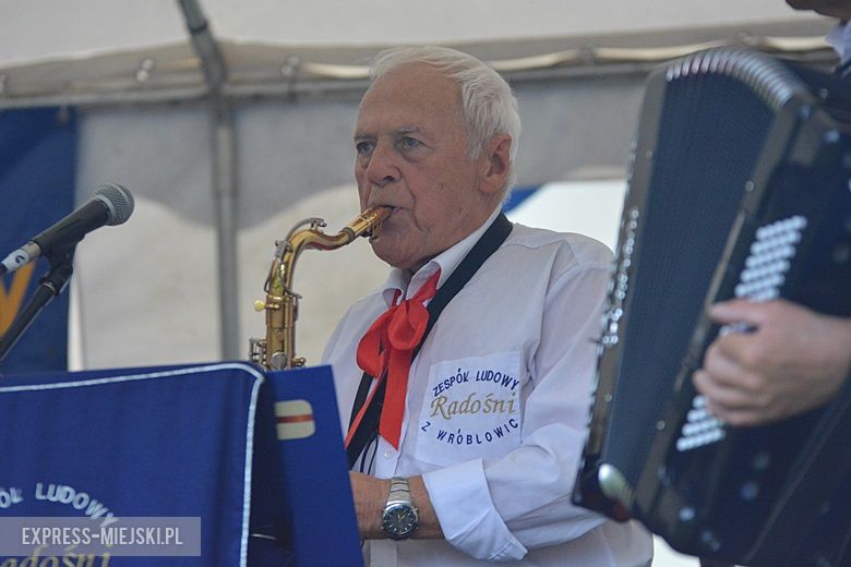 Festyn parafialny w Wilkszynie