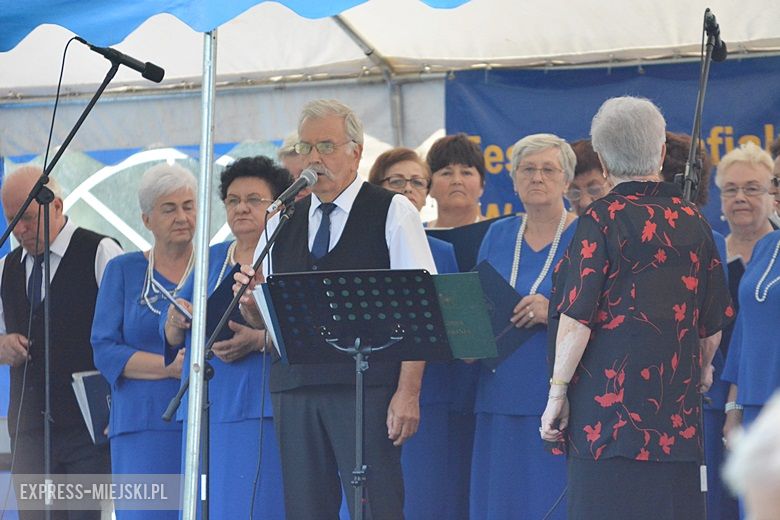 Festyn parafialny w Wilkszynie