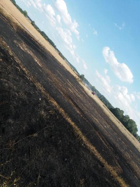 Pożary ściernisk w powiecie średzkim