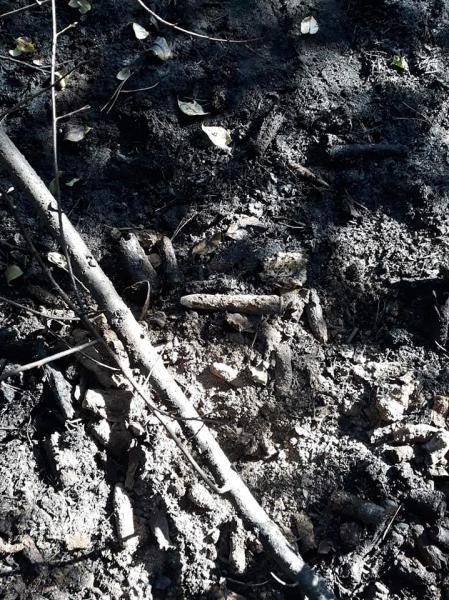 Pożary ściernisk w powiecie średzkim