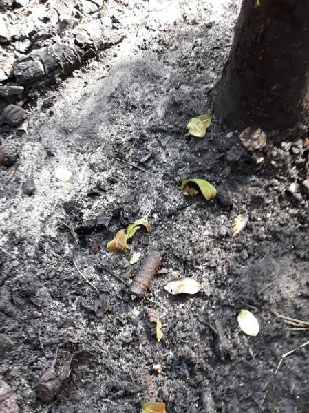 Pożary ściernisk w powiecie średzkim