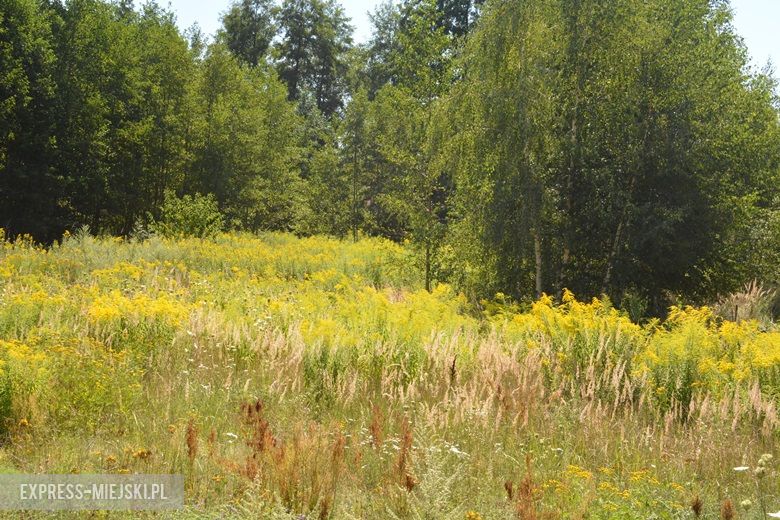 Podpisanie umowy na rozbudowę przedszkola