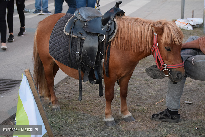Festiwal Lata w Miękini - I dzień za nami