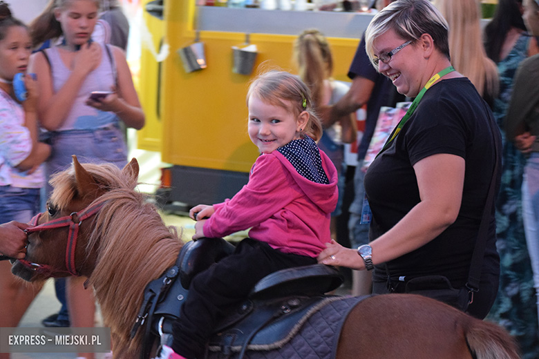 Festiwal Lata w Miękini - I dzień za nami