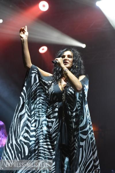 Festiwal Lata w Miękini - I dzień za nami