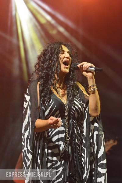 Festiwal Lata w Miękini - I dzień za nami