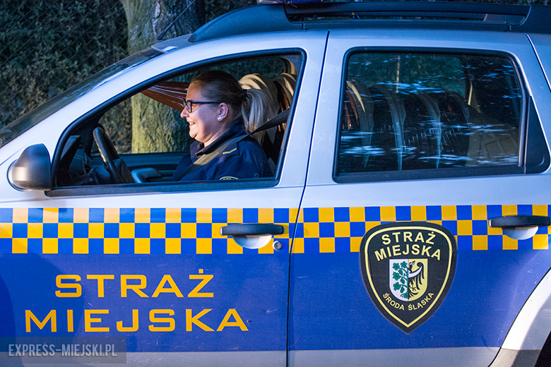 "Lodowy rożek" na murach miejskich