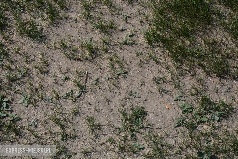 Boisko w Ciechowie - stan na 22 sierpnia 2018 rok