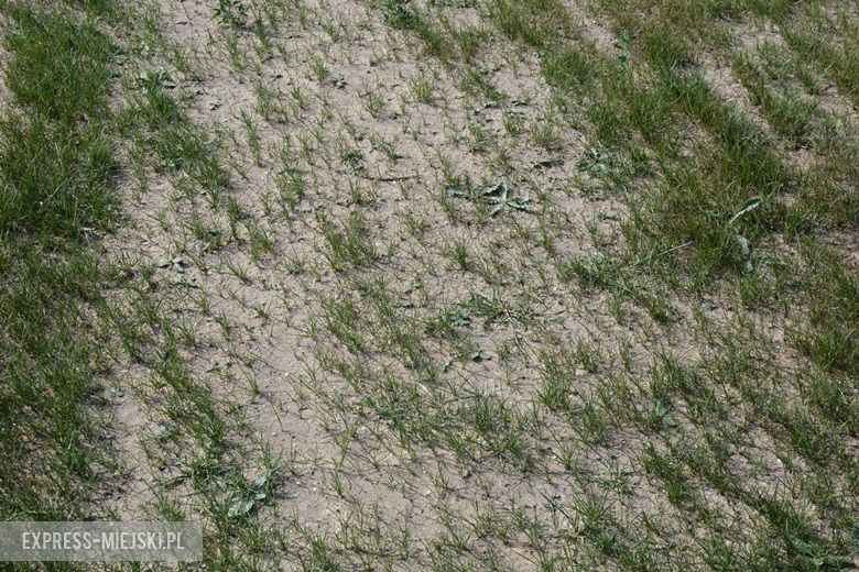 Boisko w Ciechowie - stan na 22 sierpnia 2018 rok