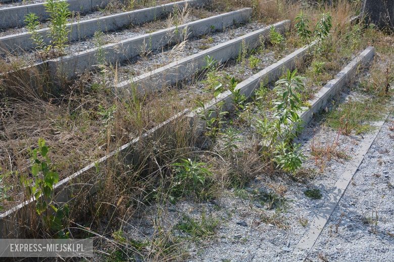 Boisko w Ciechowie - stan na 22 sierpnia 2018 rok