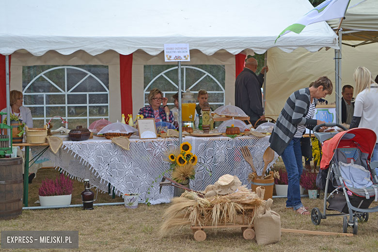 Uroczyste obchody gminny dożynek w Kostomłotach