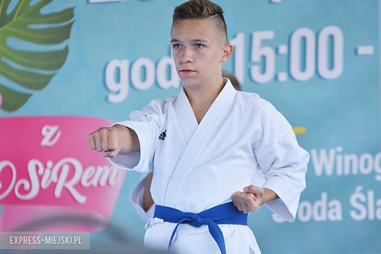 Letni Piknik na zakończenie wakacji w Środzie Śląskiej