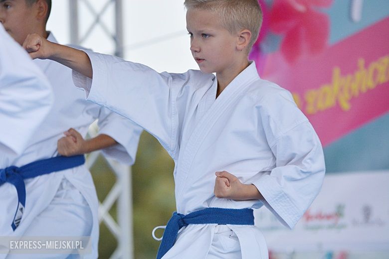 Letni Piknik na zakończenie wakacji w Środzie Śląskiej