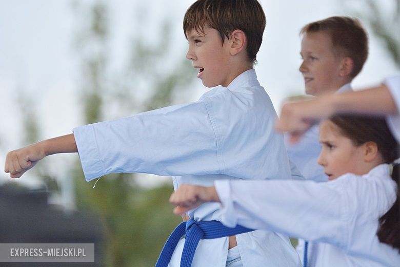 Letni Piknik na zakończenie wakacji w Środzie Śląskiej