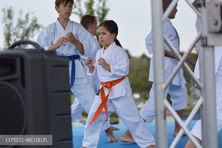 Letni Piknik na zakończenie wakacji w Środzie Śląskiej