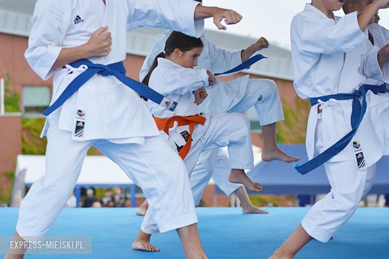 Letni Piknik na zakończenie wakacji w Środzie Śląskiej