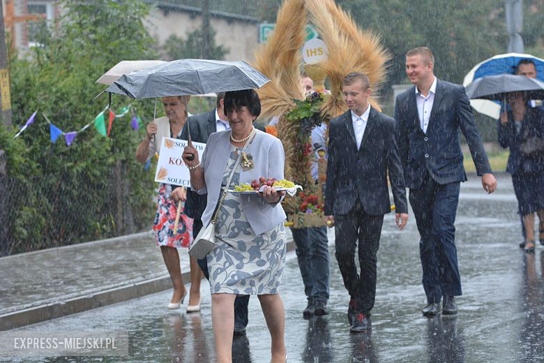 Dożynki w gminie Udanin