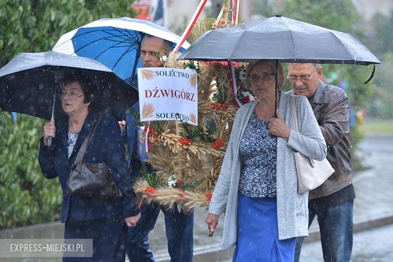 Dożynki w gminie Udanin