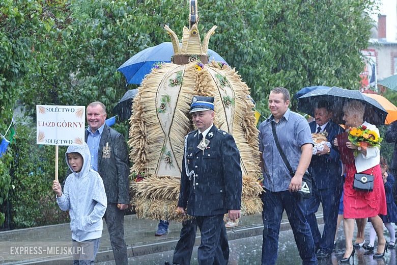 Dożynki w gminie Udanin